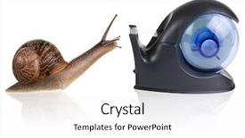  Presentation with snail - Colorful slide deck enhanced with slow climb - garden snail falling in love backdrop and a  colored foreground