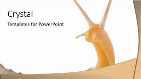  Presentation with leaf water drops fresh - Cool new PPT theme with musulman - view of the minaret backdrop and a light blue colored foreground