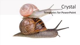  Presentation with funny - PPT layouts consisting of slow climb - two funny snails hitchhiking background and a  colored foreground