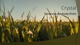  Presentation with blue line - Slide set with slow-motion-low-angle-view background and a mint green colored foreground