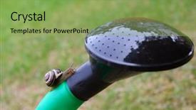  Presentation with green moving - Cool new PPT theme with slow steady - snail moving upwards backdrop and a seafoam green colored foreground