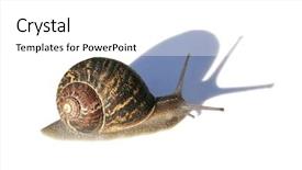 Presentation with shadow of a caravan - Cool new presentation theme with slow steady - snail with shadow backdrop and a white colored foreground