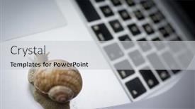 Presentation with snail - PPT layouts enhanced with slowly-moving-snail-means-slow background and a light gray colored foreground