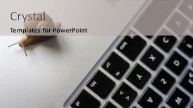  Presentation with snail - Amazing slide deck having slowly-moving-snail-means-slow backdrop and a light gray colored foreground