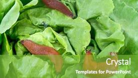  Presentation with eating - Theme consisting of slug in the garden eating background and a seafoam green colored foreground