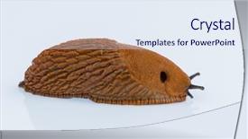  Presentation with white astronomy - Theme featuring slug on a white background background and a sky blue colored foreground