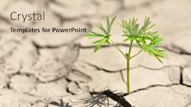  Presentation with cracked - Slides consisting of smal-plant-growing-from-dried background and a lemonade colored foreground