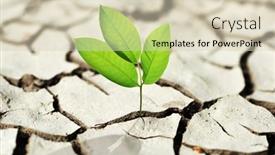  Presentation with cracked - Presentation design having smal-plant-growing-from-dried background and a soft green colored foreground