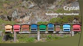  Presentation with alps - Slide deck consisting of beekeeping beekeeper is working - small apiary in the swiss background and a gray colored foreground