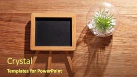  Presentation with succulent - Theme with small-blackboard-with-succulent-plant background and a  colored foreground