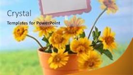  Presentation with blank - Slides featuring small-blank-label-was-put background and a  colored foreground