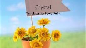  Presentation with blank - Presentation with small-blank-label-was-put background and a  colored foreground