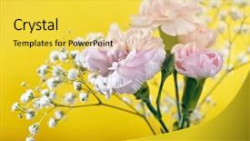  Presentation with drawing of pink lotus flower - Presentation theme with small bouquet of pink carnations background and a yellow colored foreground