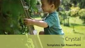  Presentation with summer time - PPT theme consisting of small-boy-climb-the-stairs background and a yellow colored foreground