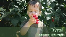  Presentation with eating - Colorful presentation theme enhanced with small-boy-eating-raspberry-dressed backdrop and a tawny brown colored foreground