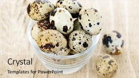  Presentation with quail - Amazing PPT theme having small brown spotted quail egg backdrop and a  colored foreground