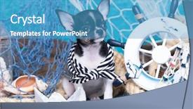  Presentation with islamic decorations decoration and motif - Audience pleasing theme consisting of small chihuahua and sea decorations backdrop and a teal colored foreground