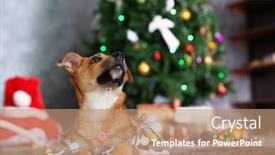  Presentation with dog christmas - Slide deck consisting of small cute funny dog with garland on christmas background background and a coral colored foreground