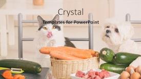  Presentation with cat dog - Cool new theme with small-dog-and-cat-observe backdrop and a lemonade colored foreground