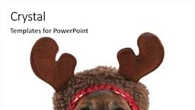  Presentation with dog and cat - Amazing PPT layouts having christmas rudolph - small dog dressed up backdrop and a white colored foreground