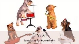  Presentation with jazz - Theme enhanced with small dog jazz band funny background and a lemonade colored foreground