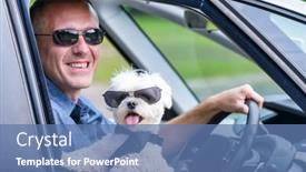  Presentation with safe - PPT layouts enhanced with small-dog-maltese background and a teal colored foreground