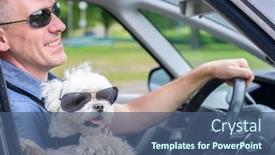  Presentation with safe - Amazing slide deck having small-dog-maltese backdrop and a ocean colored foreground