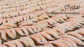  Presentation with export - Colorful slide deck enhanced with small dried shrimp backdrop and a lemonade colored foreground