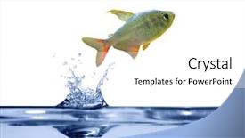  Presentation with blue water - PPT theme consisting of small fish is jumping above background and a white colored foreground