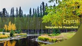  Presentation with green lake - Presentation design featuring small-forest-lake-canada-banff background and a tawny brown colored foreground