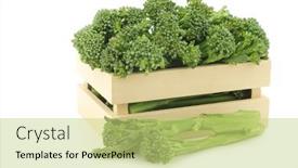  Presentation with wooden - Slide set enhanced with small-form-of-broccoli-called background and a yellow colored foreground
