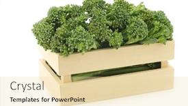  Presentation with wooden - Slide set having small-form-of-broccoli-called background and a blonde colored foreground