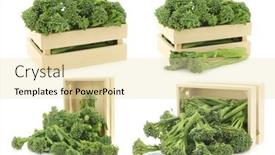  Presentation with wooden - Beautiful slide set featuring small-form-of-broccoli-called backdrop and a blonde colored foreground