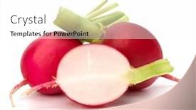  Presentation with octopus on isolated white - Presentation consisting of small garden radish isolated on white background background and a white colored foreground