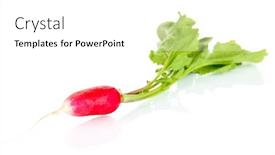  Presentation with leaves - Colorful slide set enhanced with small-garden-radish-with-leaves backdrop and a white colored foreground