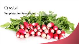  Presentation with fall leaves border white - Beautiful presentation theme featuring small-garden-radish-with-leaves backdrop and a white colored foreground