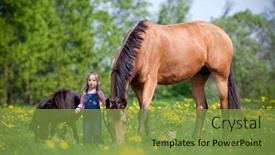  Presentation with horse child - Theme featuring small-girl-standing-with-two background and a tawny brown colored foreground