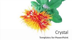  Presentation with leave - Beautiful slides featuring small-gold-flower-with-leave backdrop and a white colored foreground