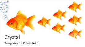  Presentation with moving - Presentation theme having small golden fish following background and a white colored foreground