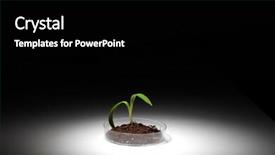  Presentation with soil engineering - Colorful theme enhanced with small green plant and soil backdrop and a black colored foreground