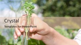  Presentation with green industries plant - Beautiful slide set featuring small green plant in test backdrop and a  colored foreground