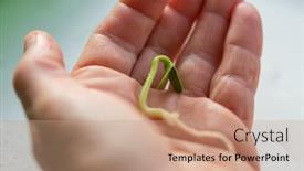  Presentation with abstract spring green - Audience pleasing presentation consisting of small-green-sprout-in-hand backdrop and a coral colored foreground