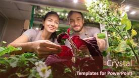  Presentation with plants growing - Colorful slides enhanced with small-group-of-young-farmers backdrop and a tawny brown colored foreground