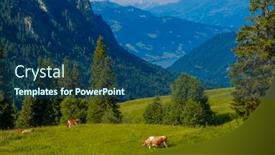  Presentation with alpine - Audience pleasing theme consisting of small-herd-of-cows-graze backdrop and a ocean colored foreground