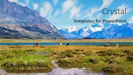  Presentation with cold water - Beautiful PPT theme featuring small-herd-of-guanaco-los backdrop and a light blue colored foreground