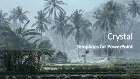  Presentation with house forest - Colorful slides enhanced with small house with fishing net backdrop and a gray colored foreground