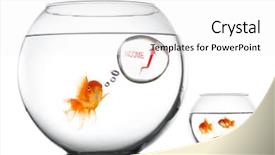  Presentation with teaching - Cool new slide deck with small how to increase income backdrop and a white colored foreground