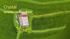  Presentation with hut - Colorful presentation theme enhanced with small-hut-with-rusty-tin backdrop and a tawny brown colored foreground