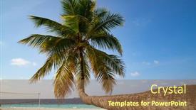  Presentation with animals winter - Audience pleasing slide deck consisting of small-island-in-the-maldives backdrop and a tawny brown colored foreground