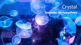  Presentation with light blue - Colorful presentation enhanced with small-jellyfishes-illuminated-with-blue backdrop and a cobalt blue colored foreground
